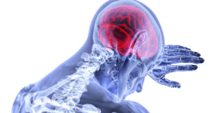 devenir neuropsychologue