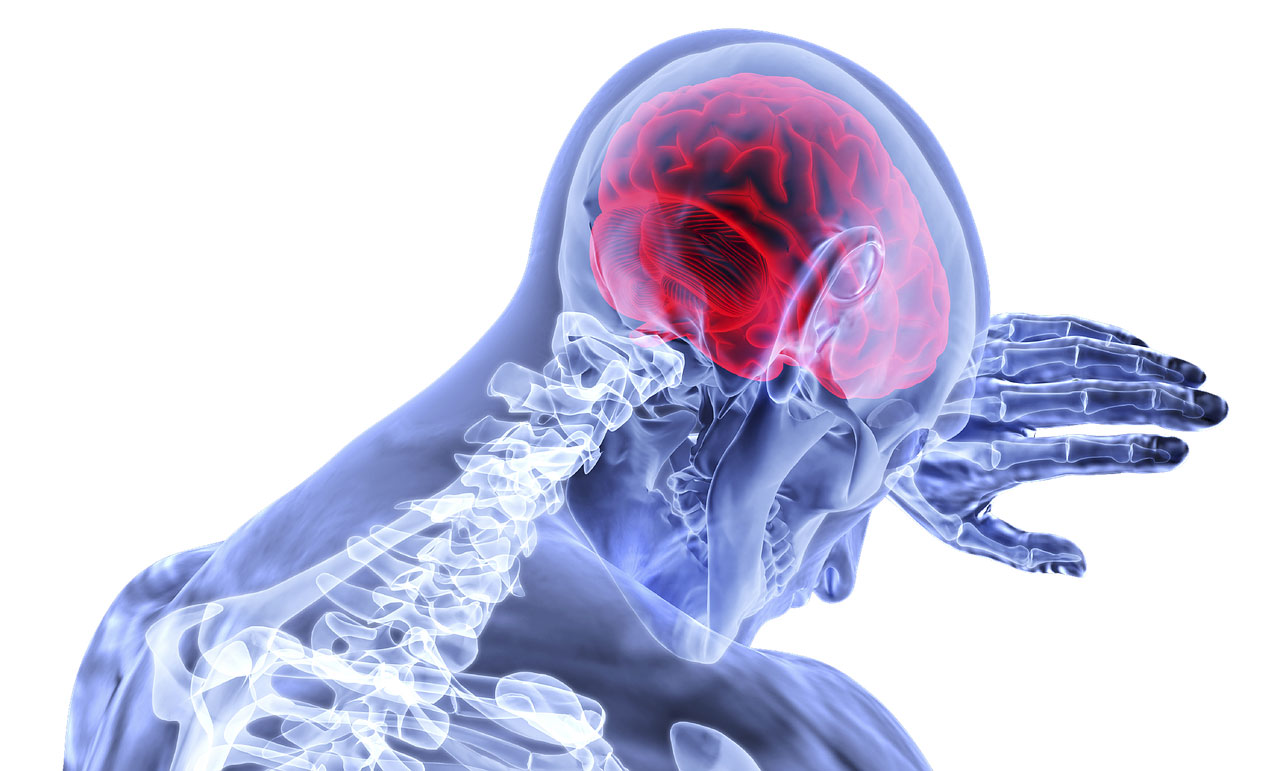 Devenir neuropsychologue, apporter le bien-être