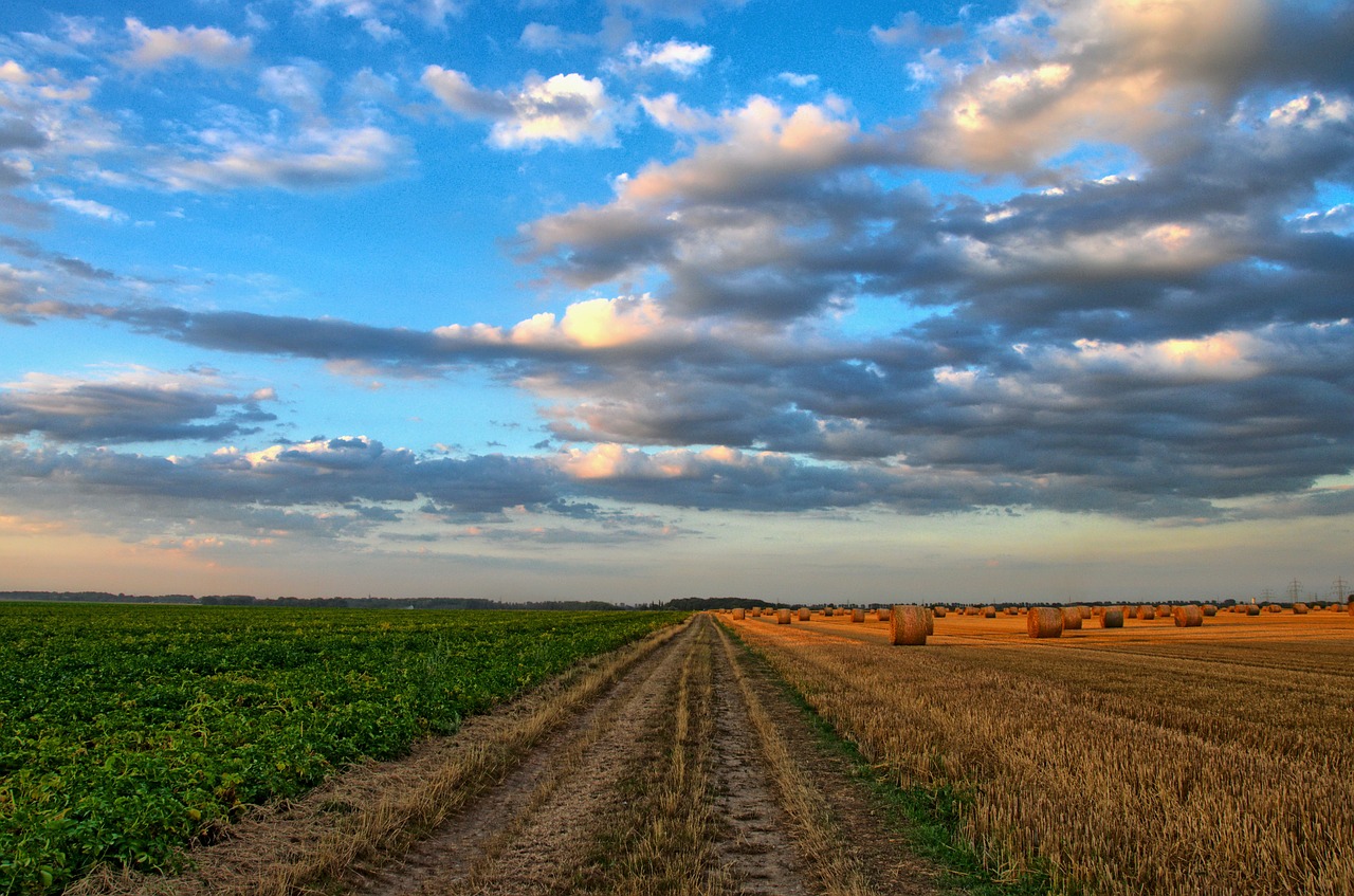Qu’est-ce qu’un Groupement Agricole d’Exploitation en Commun (GAEC) ?