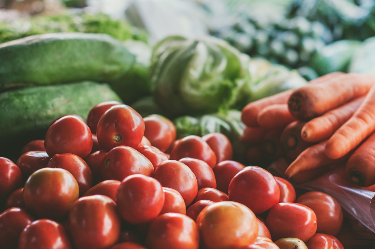 Qu’est-ce qu’une Exploitation Agricole à Responsabilité Limitée (EARL) ?