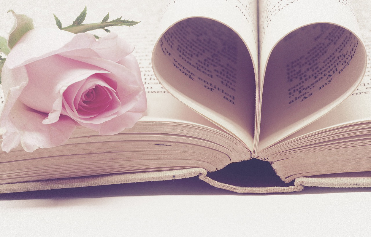 Devenir libraire, le livre est une culture