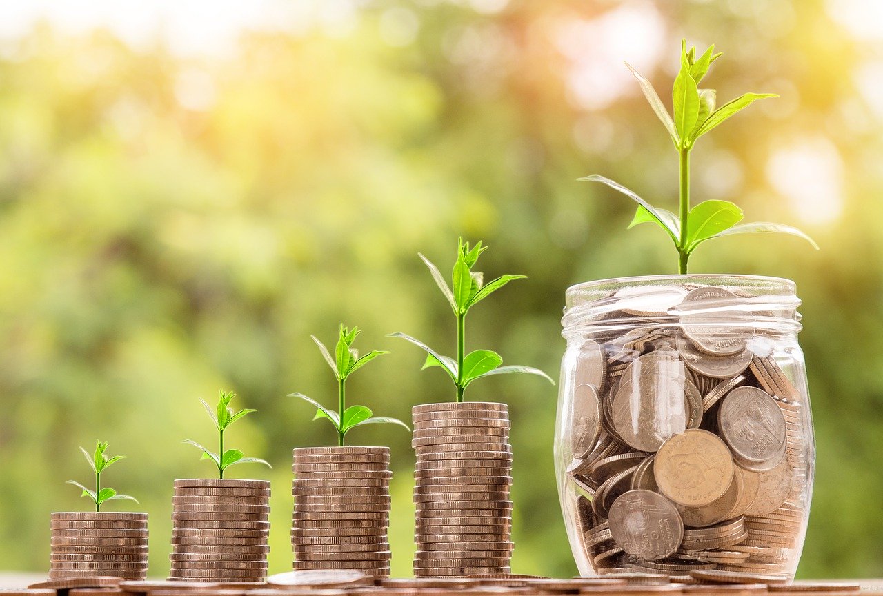 Tout savoir sur les dividendes de votre SAS