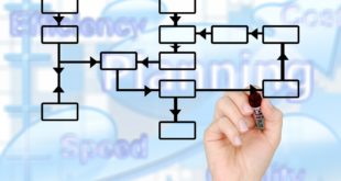 organigramme-fonctionnel