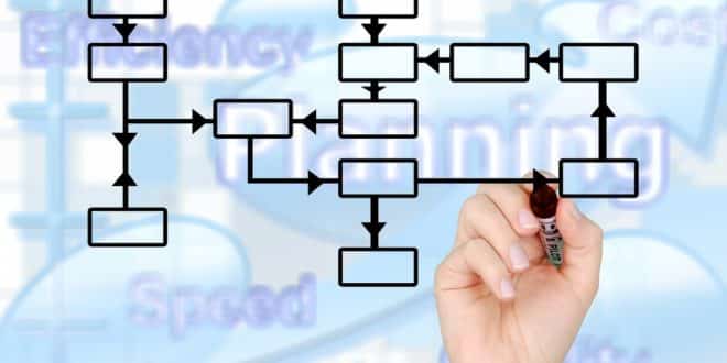 organigramme-fonctionnel