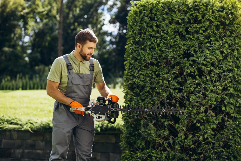 Tout ce qu’il faut savoir pour devenir jardinier
