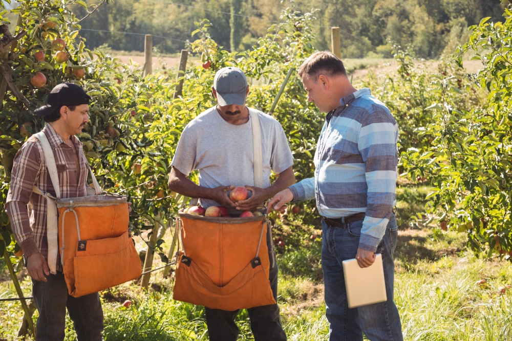 Comment trouver un emploi saisonnier?